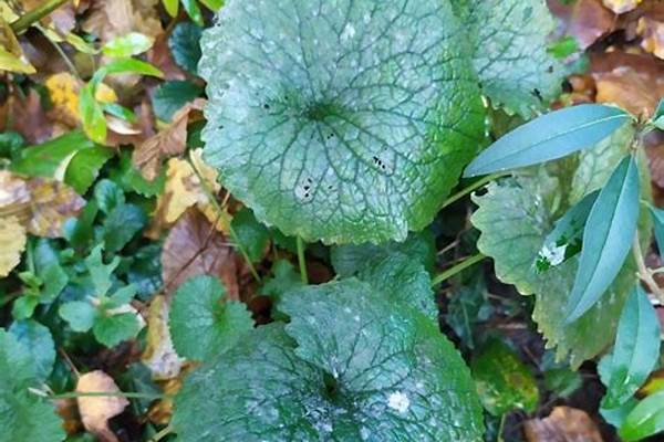 放开那三国2武将介绍